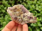 Natural Rare Amethyst Asylum Quartz Clusters x 12 From Luena, Congo