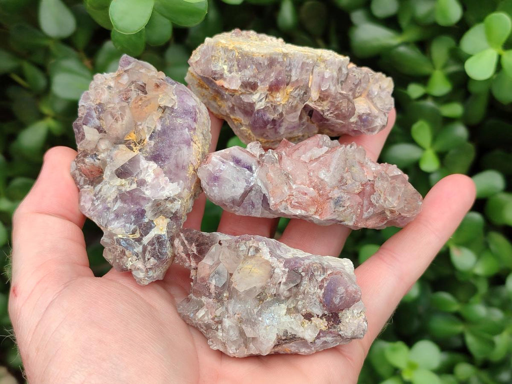 Natural Rare Amethyst Asylum Quartz Clusters x 12 From Luena, Congo