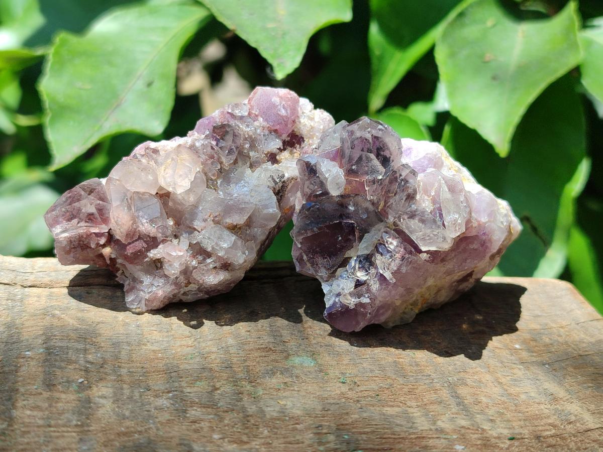 Natural Rare Amethyst Asylum Quartz Clusters x 12 From Luena, Congo