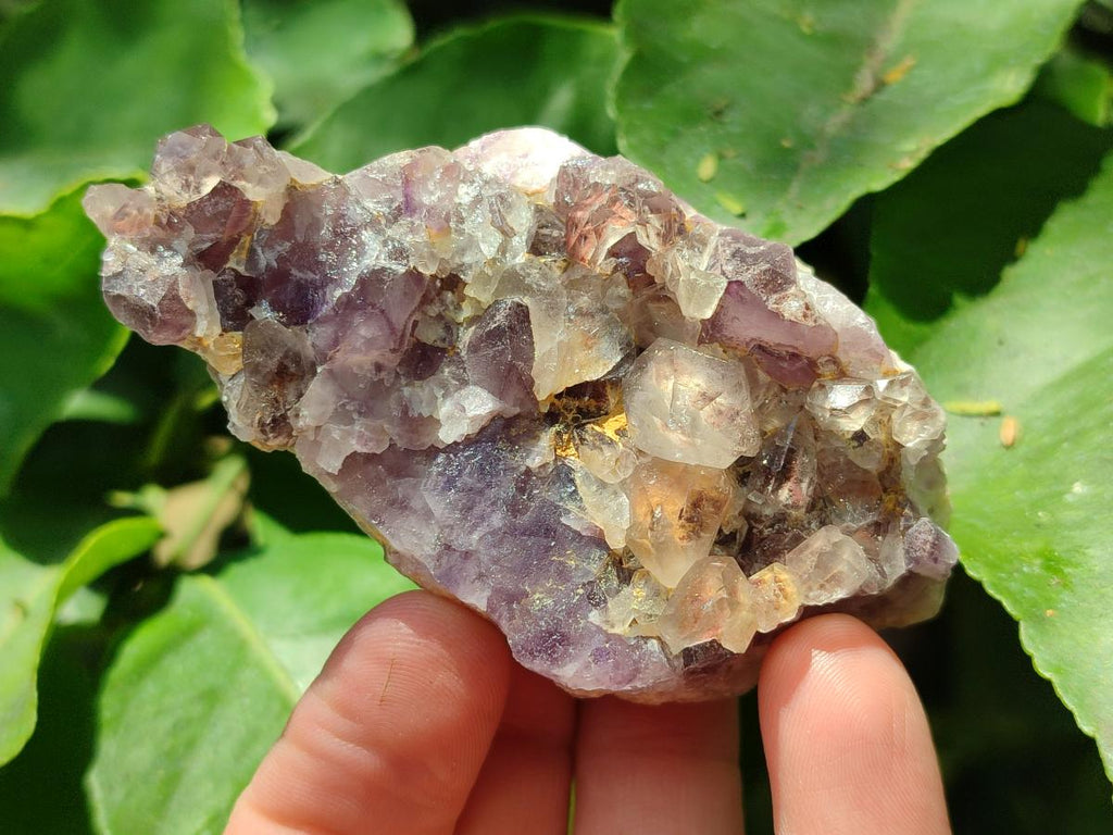 Natural Rare Amethyst Asylum Quartz Clusters x 12 From Luena, Congo