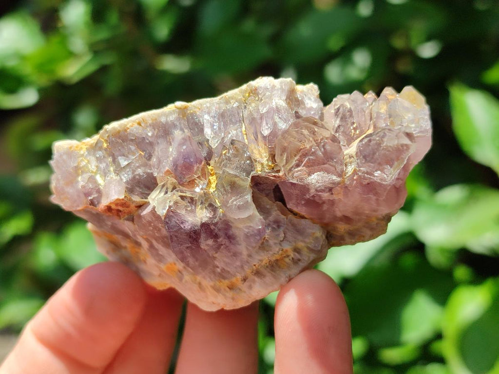 Natural Rare Amethyst Asylum Quartz Clusters x 12 From Luena, Congo