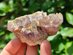 Natural Rare Amethyst Asylum Quartz Clusters x 12 From Luena, Congo
