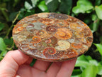 Hand Made Ammonite Conglomerate Coffee Table Coasters x 6 From Mahajanga, Madagascar