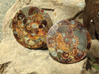 Hand Made Ammonite Conglomerate Coffee Table Coasters x 6 From Mahajanga, Madagascar