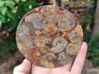 Hand Made Ammonite Conglomerate Coffee Table Coasters x 6 From Mahajanga, Madagascar