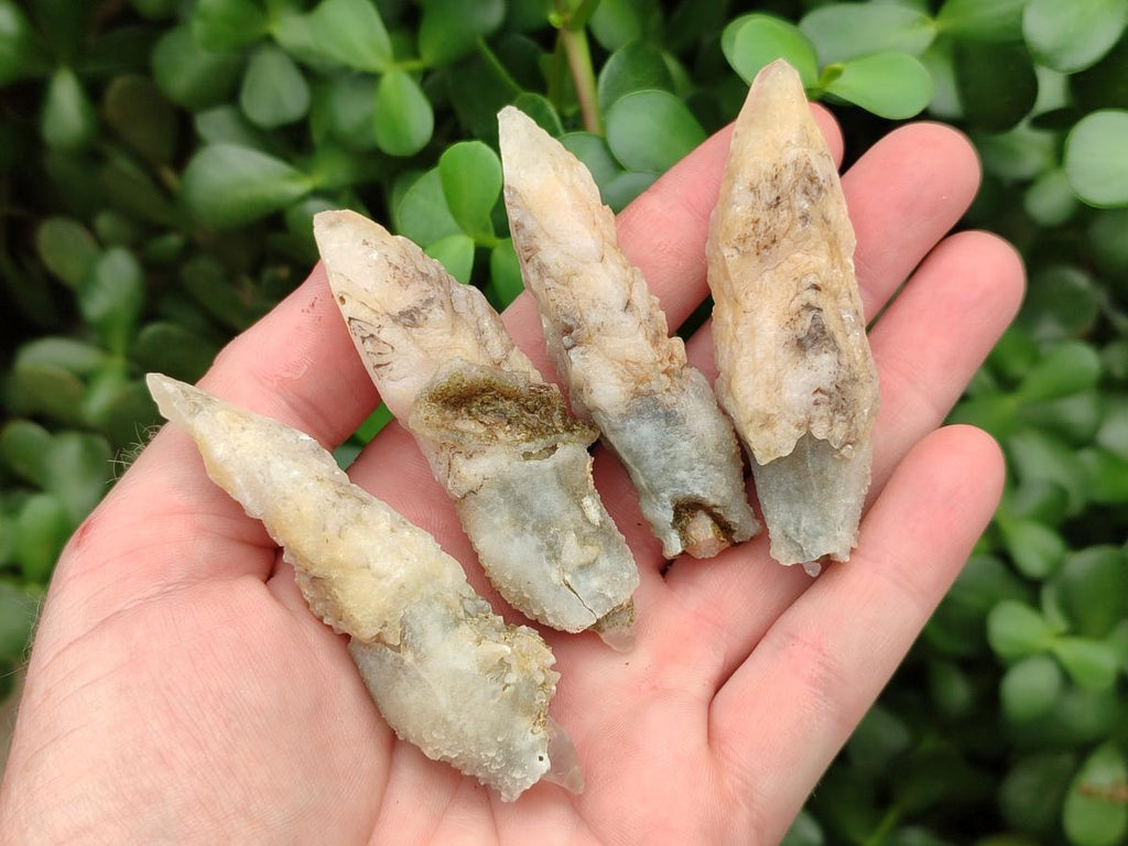 Natural Drusy Quartz Coated Spearhead Calcite Crystals x 20 From Albert's Mountain, Lesotho