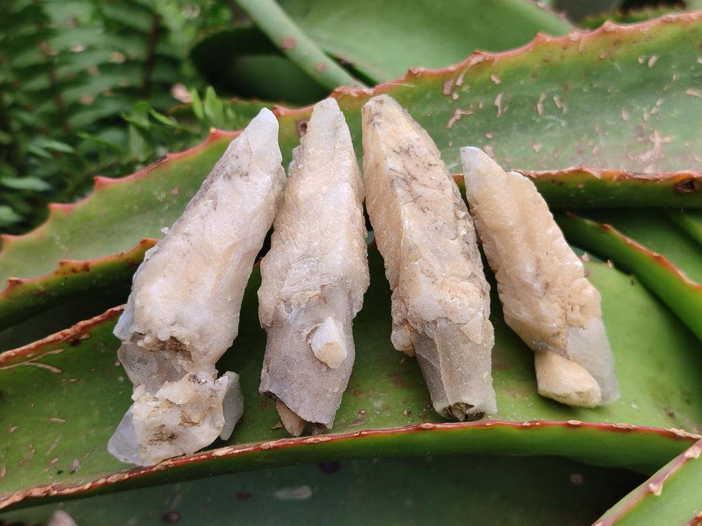Natural Drusy Quartz Coated Spearhead Calcite Crystals x 20 From Albert's Mountain, Lesotho
