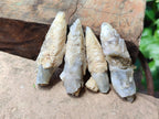 Natural Drusy Quartz Coated Spearhead Calcite Crystals x 20 From Albert's Mountain, Lesotho