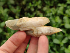 Natural Drusy Quartz Coated Spearhead Calcite Crystals x 20 From Albert's Mountain, Lesotho