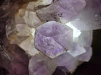 Natural Large Jacaranda Amethyst Crystal Cluster x 1 From Mumbwa, Zambia