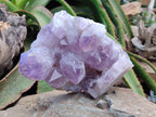 Natural Large Jacaranda Amethyst Crystal Cluster x 1 From Mumbwa, Zambia
