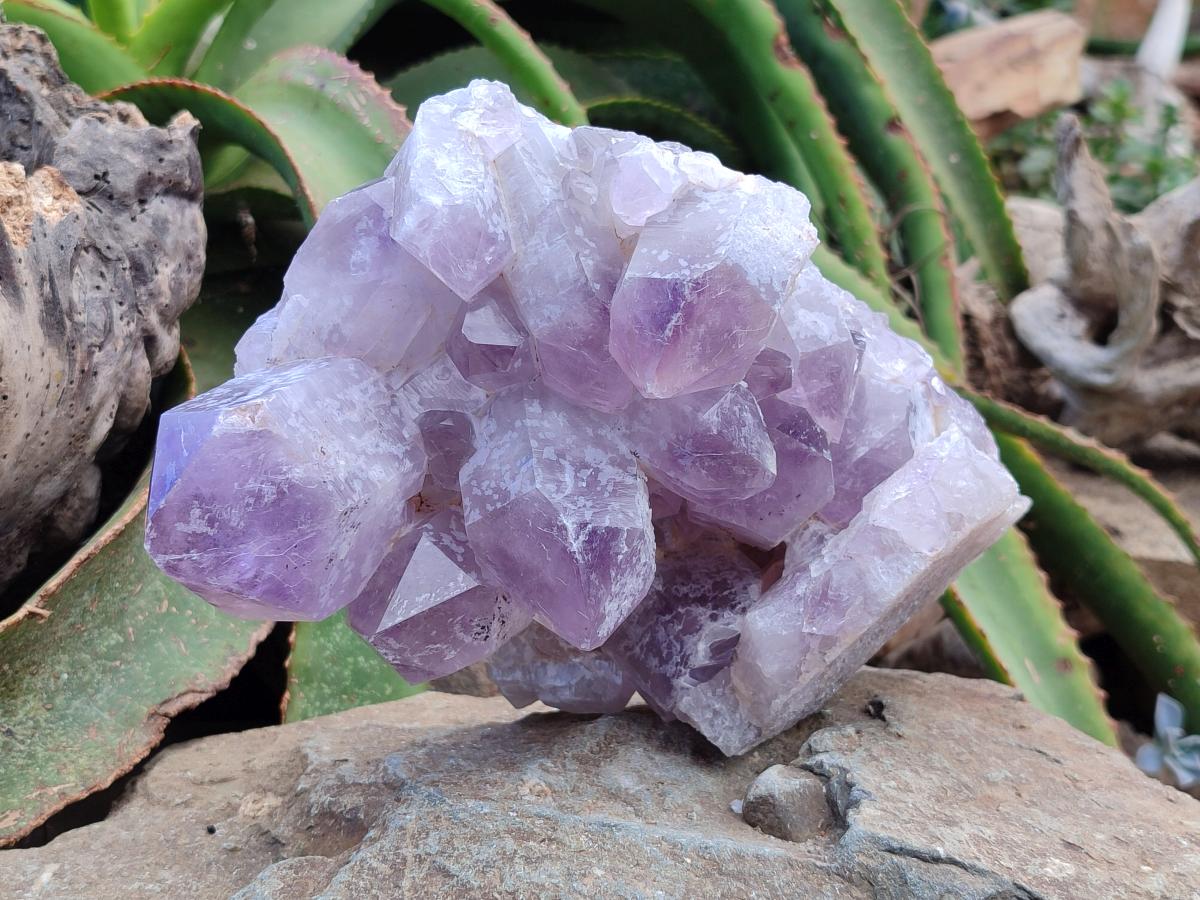 Natural Large Jacaranda Amethyst Crystal Cluster x 1 From Mumbwa, Zambia
