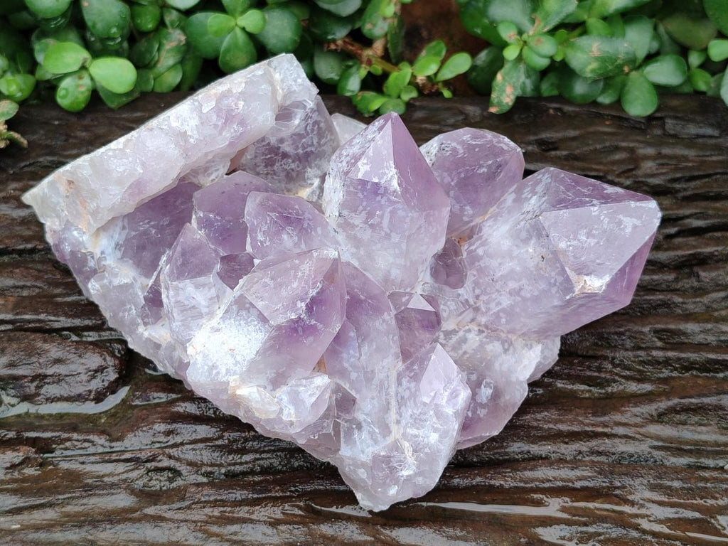 Natural Large Jacaranda Amethyst Crystal Cluster x 1 From Mumbwa, Zambia