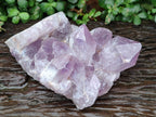 Natural Large Jacaranda Amethyst Crystal Cluster x 1 From Mumbwa, Zambia