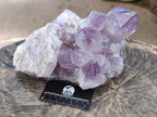 Natural Large Jacaranda Amethyst Crystal Cluster x 1 From Mumbwa, Zambia