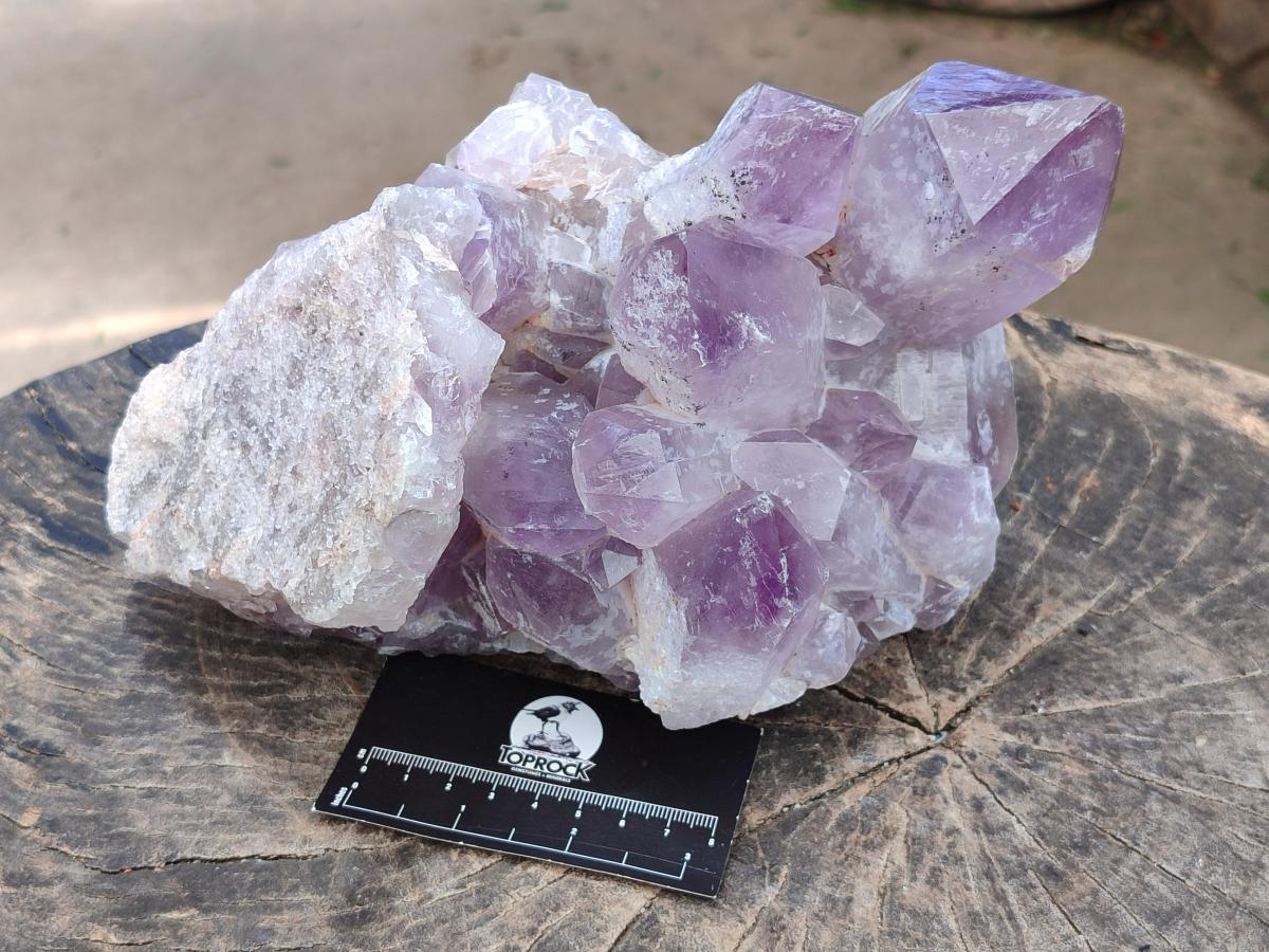 Natural Large Jacaranda Amethyst Crystal Cluster x 1 From Mumbwa, Zambia