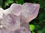 Natural Large Jacaranda Amethyst Crystal Cluster x 1 From Mumbwa, Zambia