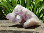 Natural Large Jacaranda Amethyst Crystal Cluster x 1 From Mumbwa, Zambia