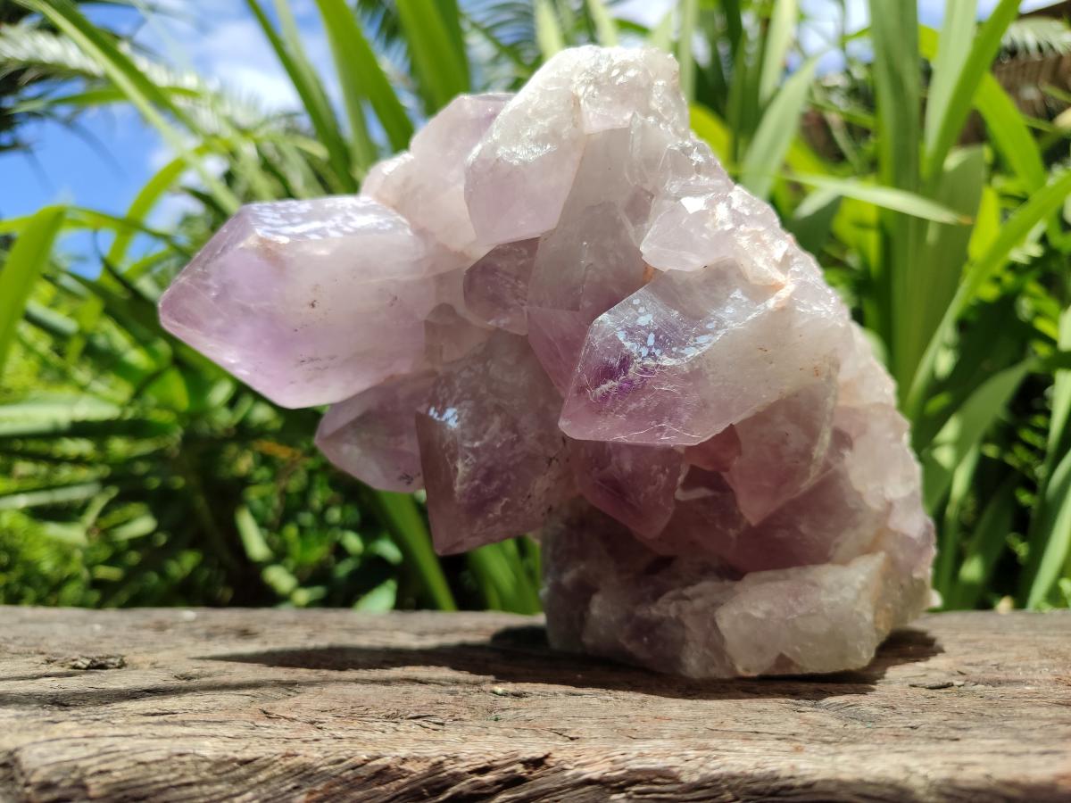 Natural Large Jacaranda Amethyst Crystal Cluster x 1 From Mumbwa, Zambia