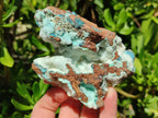 Natural Rare White Hemimorphite with Chrysocolla Specimens x 7 From Lupoto Mine, Congo