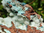 Natural Rare White Hemimorphite with Chrysocolla Specimens x 7 From Lupoto Mine, Congo