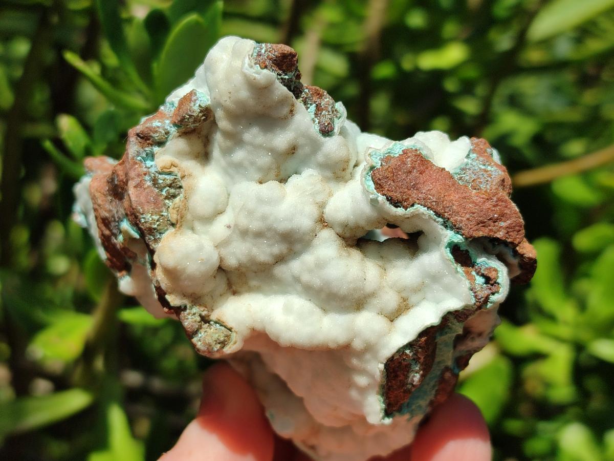 Natural Rare White Hemimorphite with Chrysocolla Specimens x 7 From Lupoto Mine, Congo