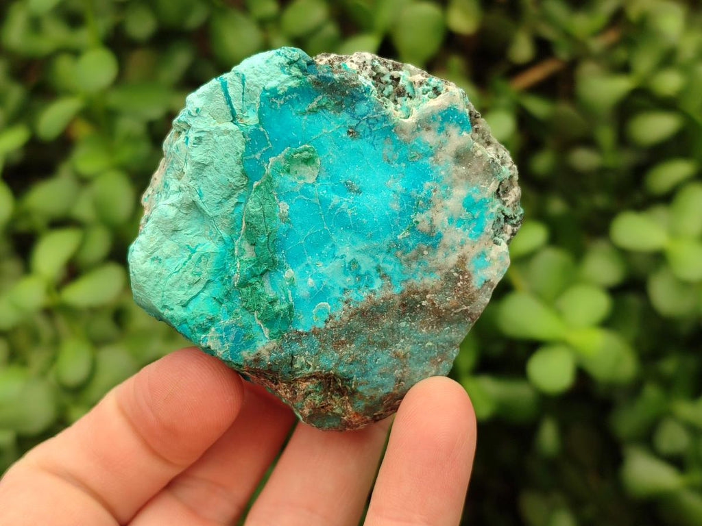 Natural Rare White Hemimorphite with Chrysocolla Specimens x 7 From Lupoto Mine, Congo