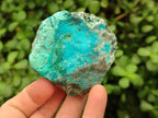 Natural Rare White Hemimorphite with Chrysocolla Specimens x 7 From Lupoto Mine, Congo