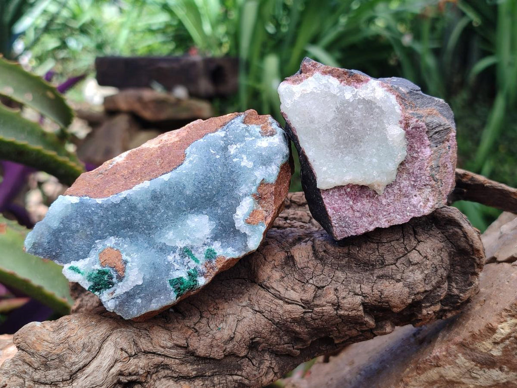 Natural Rare White Hemimorphite with Chrysocolla Specimens x 7 From Lupoto Mine, Congo