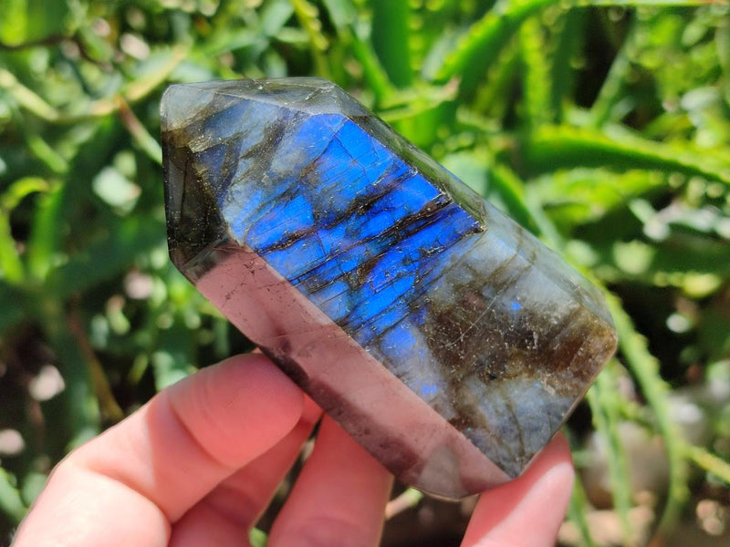 Polished Labradorite Display Crystals x 6 From Madagascar - Toprock Gemstones and Minerals 