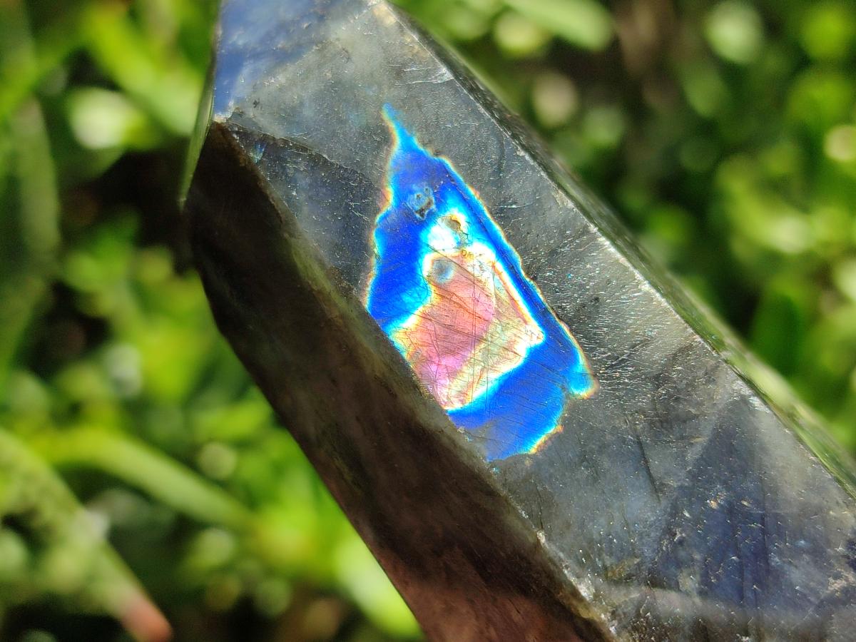 Polished Labradorite Display Crystals x 6 From Madagascar