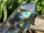 Polished Labradorite Display Crystals x 6 From Madagascar