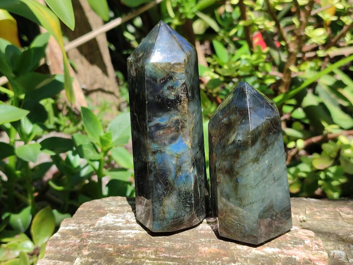 Polished Labradorite Display Crystals x 6 From Madagascar