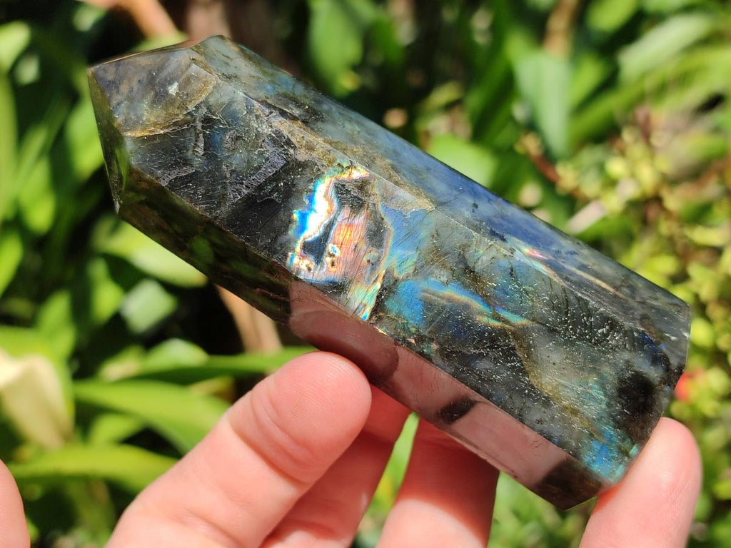 Polished Labradorite Display Crystals x 6 From Madagascar