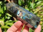Polished Labradorite Display Crystals x 6 From Madagascar