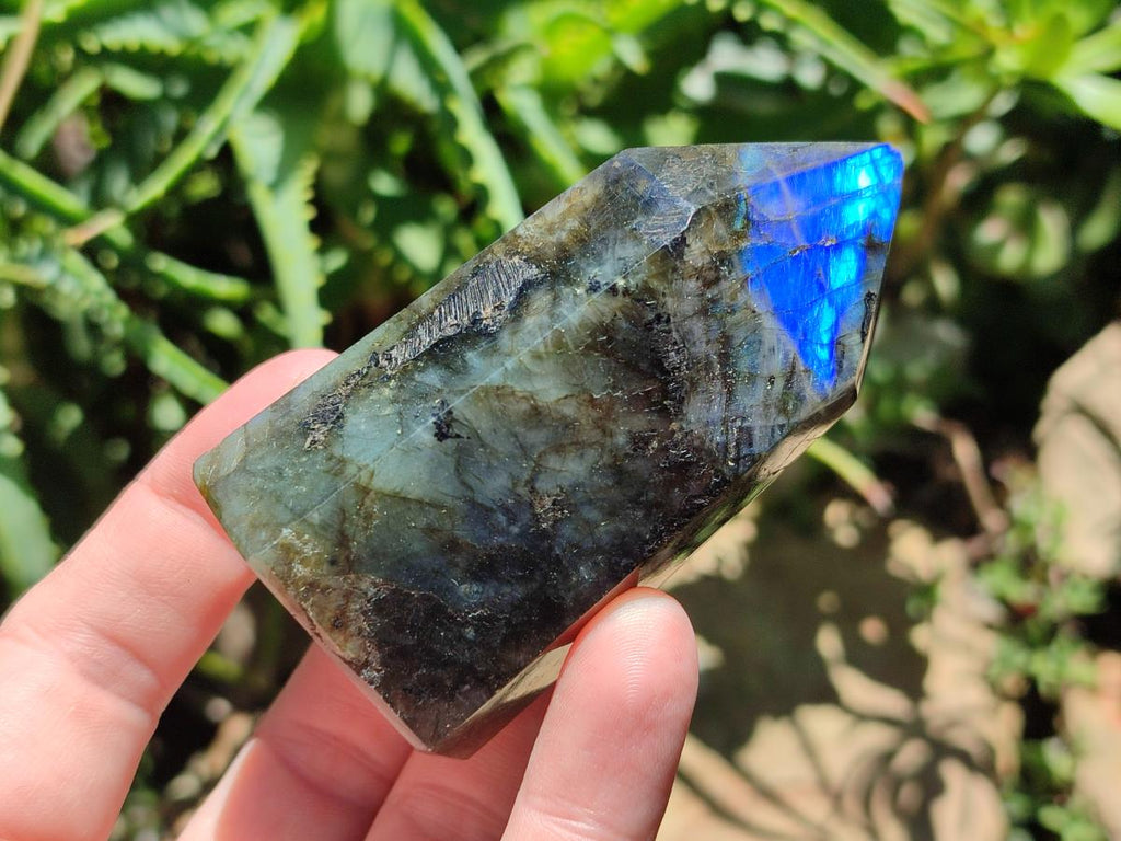 Polished Labradorite Display Crystals x 6 From Madagascar