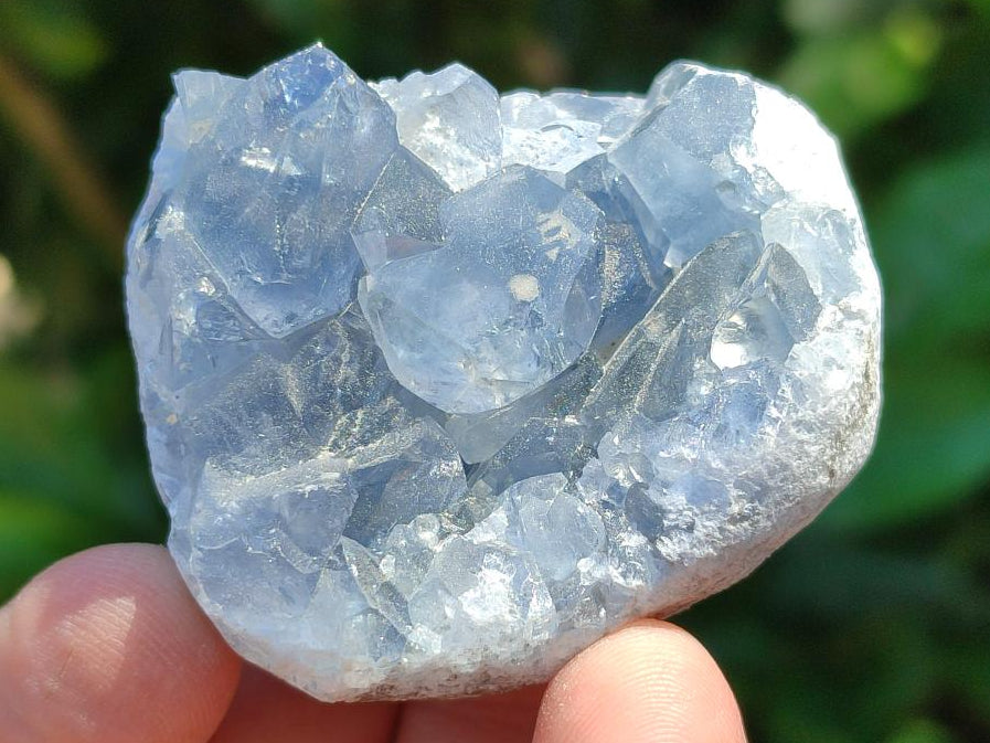 Natural Mini Blue Celestite Specimens x 37 From Sakoany, Madagascar