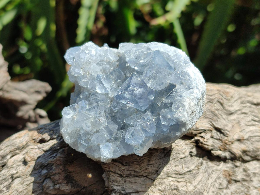 Natural Mini Blue Celestite Specimens x 37 From Sakoany, Madagascar