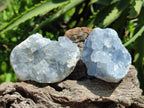 Natural Mini Blue Celestite Specimens x 37 From Sakoany, Madagascar
