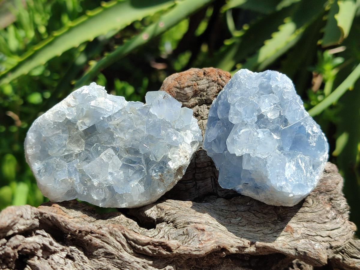 Natural Mini Blue Celestite Specimens x 37 From Sakoany, Madagascar