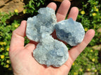 Natural Mini Blue Celestite Specimens x 37 From Sakoany, Madagascar