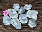 Natural Mini Blue Celestite Specimens x 37 From Sakoany, Madagascar