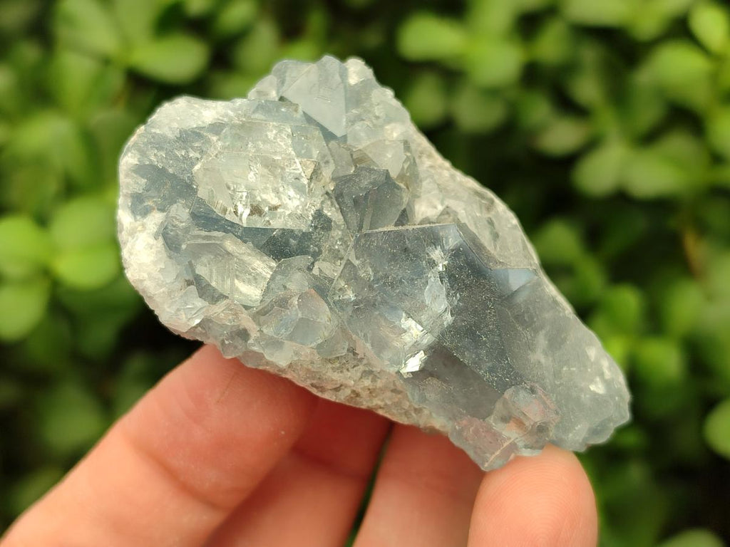 Natural Mini Blue Celestite Specimens x 37 From Sakoany, Madagascar