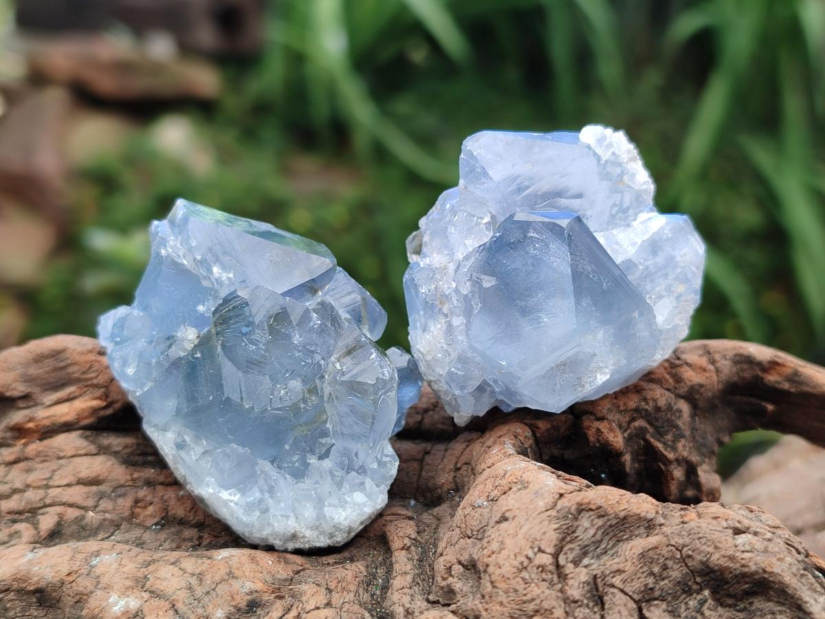 Natural Mini Blue Celestite Specimens x 37 From Sakoany, Madagascar