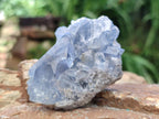 Natural Mini Blue Celestite Specimens x 37 From Sakoany, Madagascar