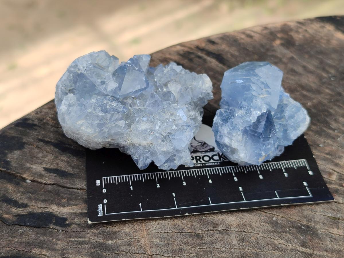 Natural Mini Blue Celestite Specimens x 37 From Sakoany, Madagascar
