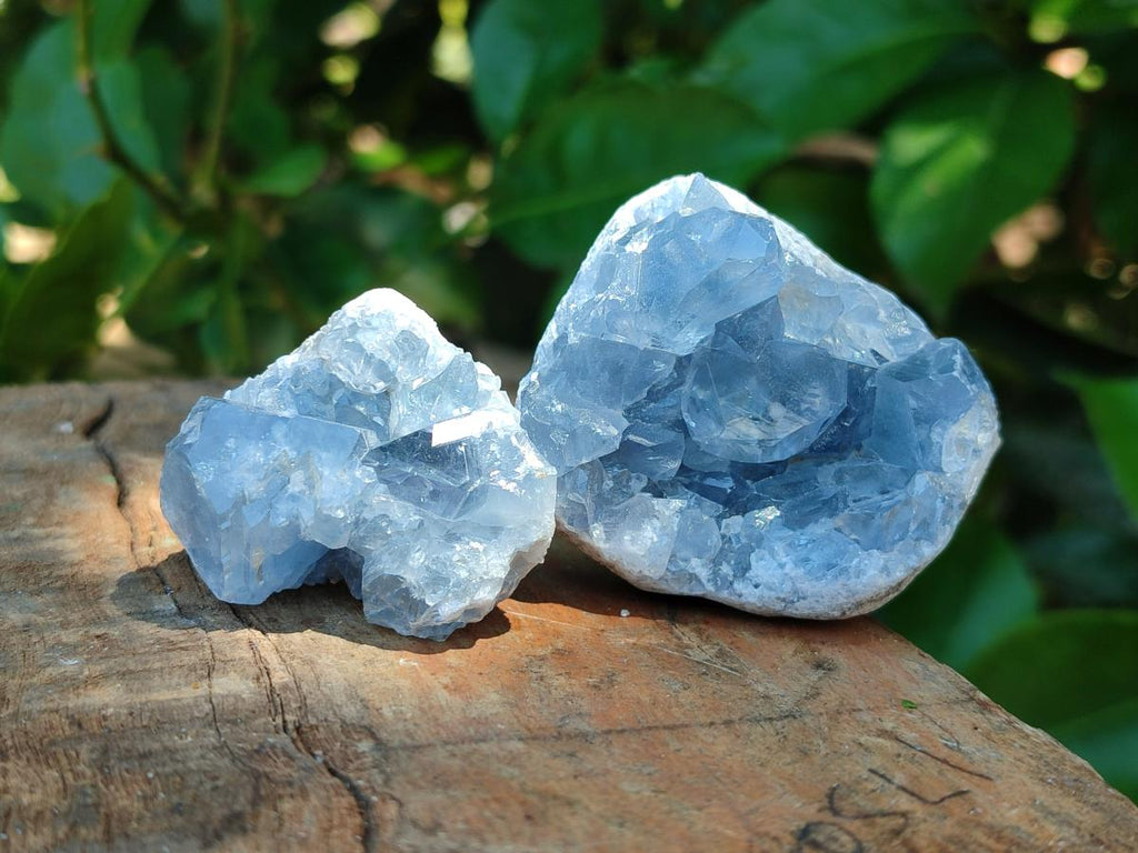 Natural Mini Blue Celestite Specimens x 37 From Sakoany, Madagascar