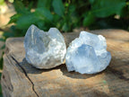 Natural Mini Blue Celestite Specimens x 37 From Sakoany, Madagascar