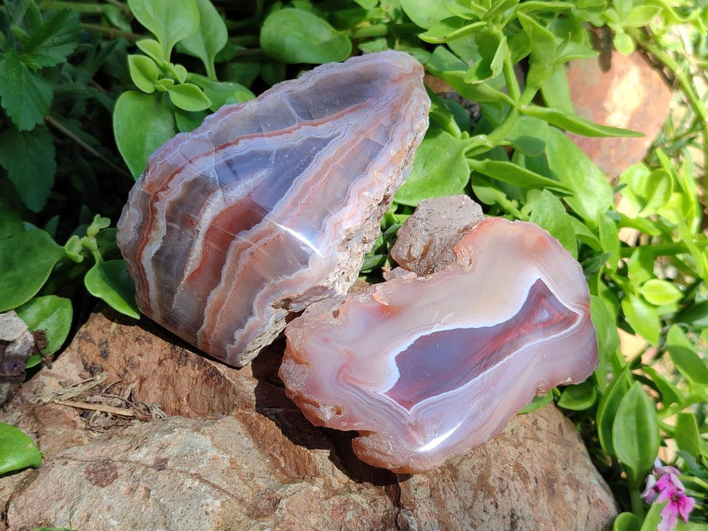 Polished One Side Red Shashe River Agate Nodules x 4 From Shashe River, Zimbabwe