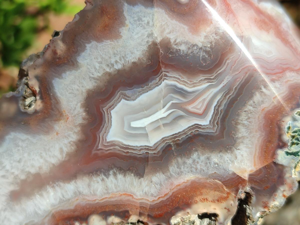 Polished One Side Red Shashe River Agate Nodules x 4 From Shashe River, Zimbabwe